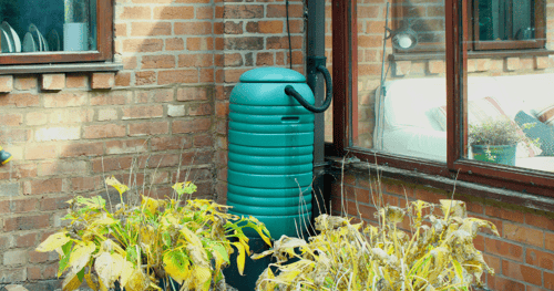 green water butt outside of a brick house