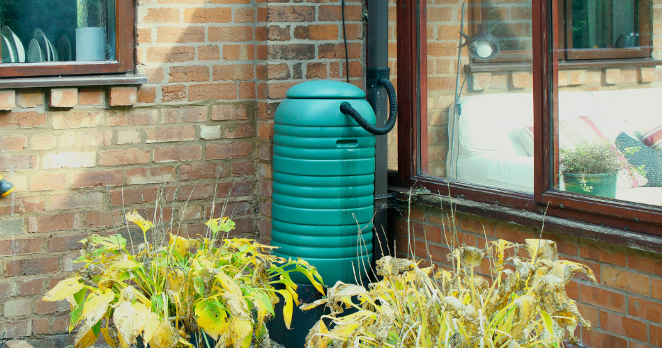 green water butt next to a red brick house 