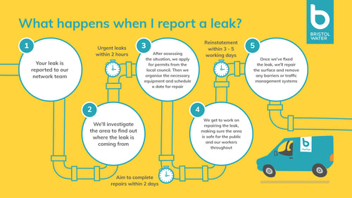 BW Leak infographic