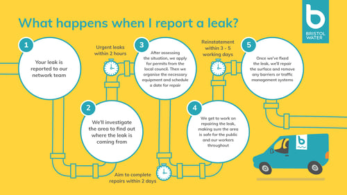 BW Leak infographic