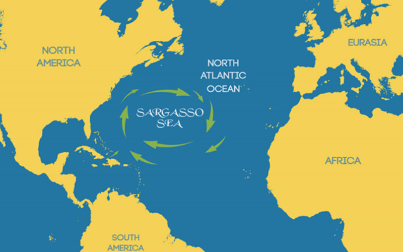 a map of the Sargasso Sea