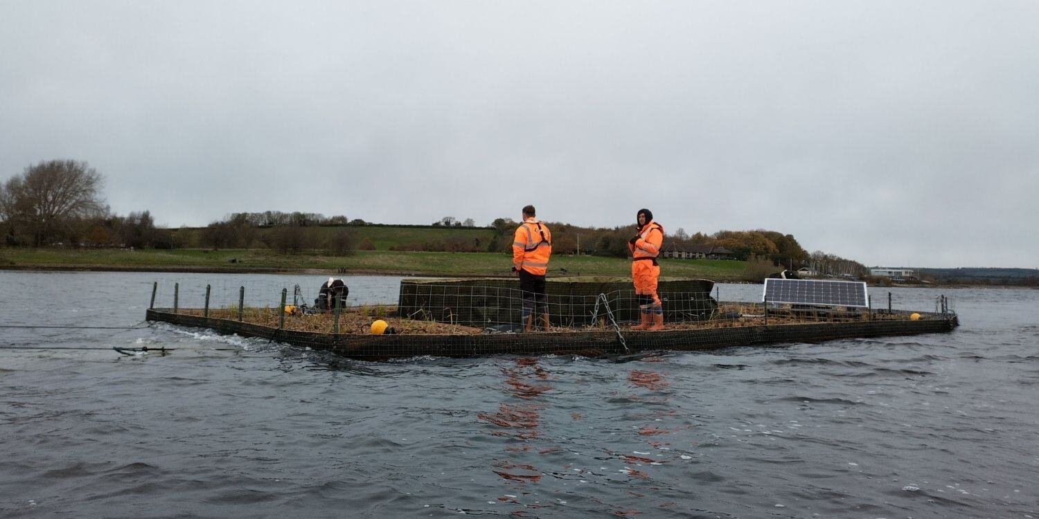 Bristol_Floating_wetland_1