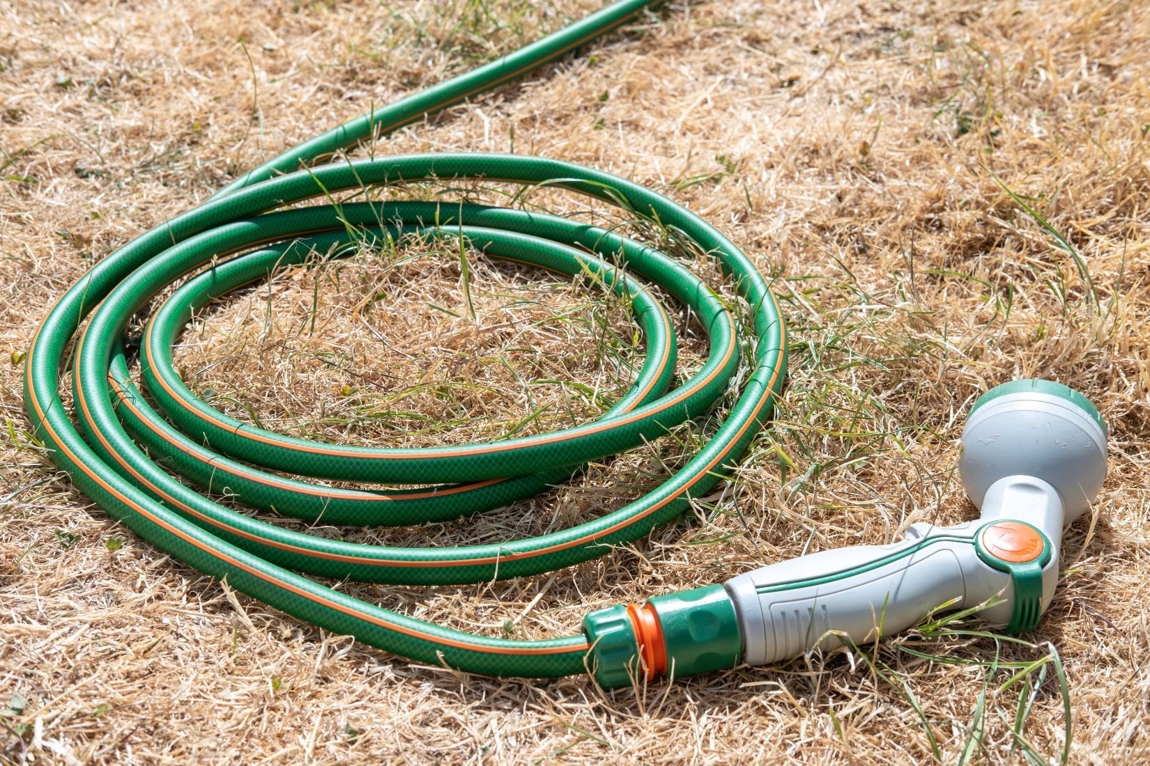 Hosepipe with a spray attachment laying on brown grass.