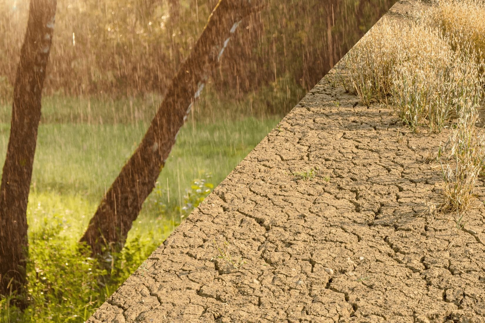 CROS - Drought promo (2)