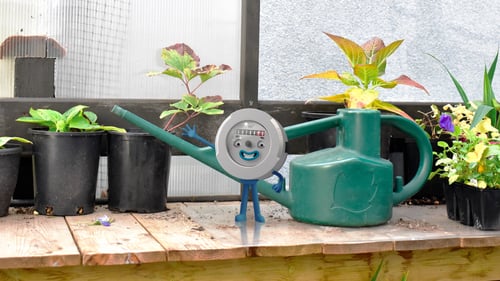 Peter the meter in a greenhouse