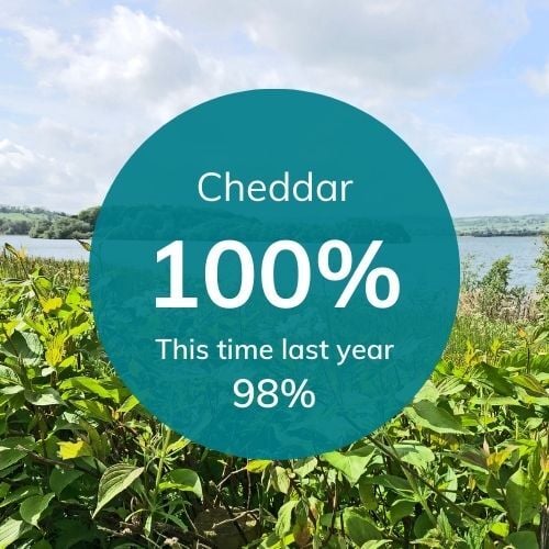 Res levels for Bristol (13)