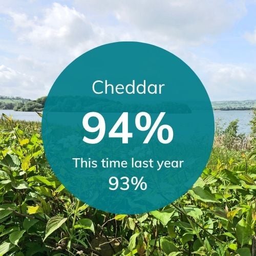 Res levels for Bristol (24)