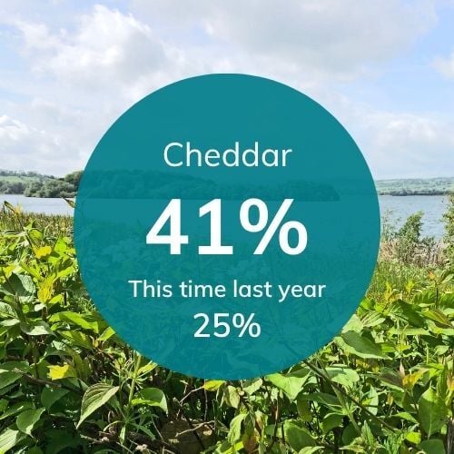 Cheddar reservoir graphic displaying the current level at 41%