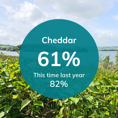 Cheddar reservoir level as of 020725