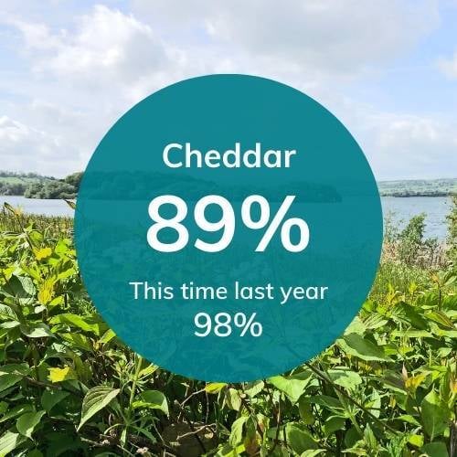 Cheddar_02_05_25