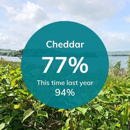 Cheddar reservoir level an 04 06 25