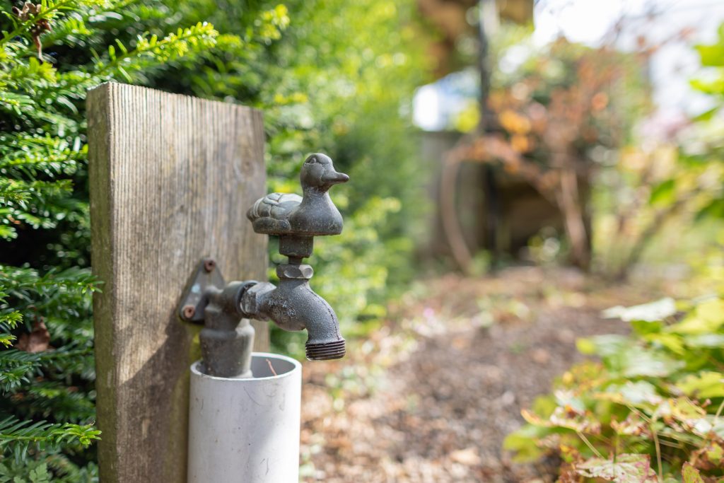 Garden tap with a duck on top