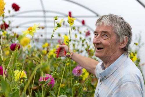 Man pruning flowers in a greenhouse