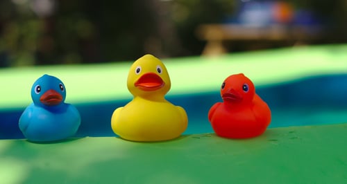 shutterstock_1764564497