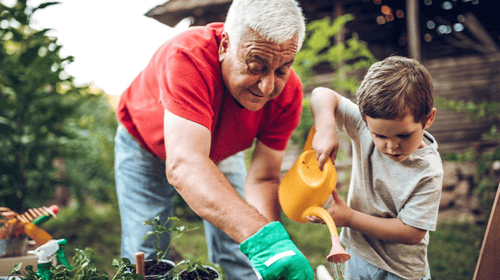Top tips to save water in your garden as the UK prepares for mini heatwave