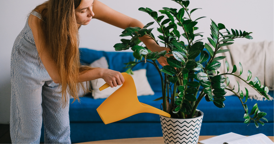 a woman in dungarees watering a green house plant with a yellow watering can