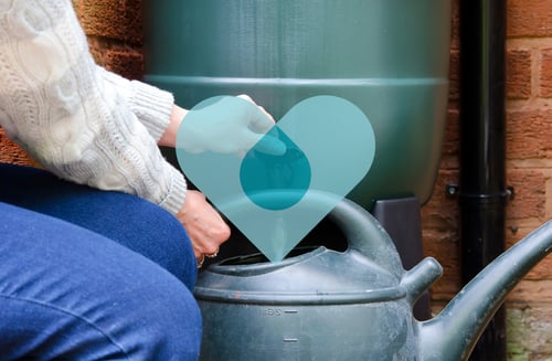 Website_Tip_Image_Water_Butt