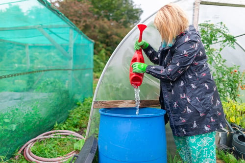 Woman emptying a watering can