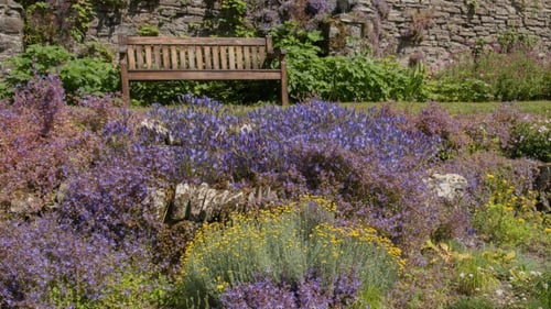 Planning a drought-proof garden for 2027