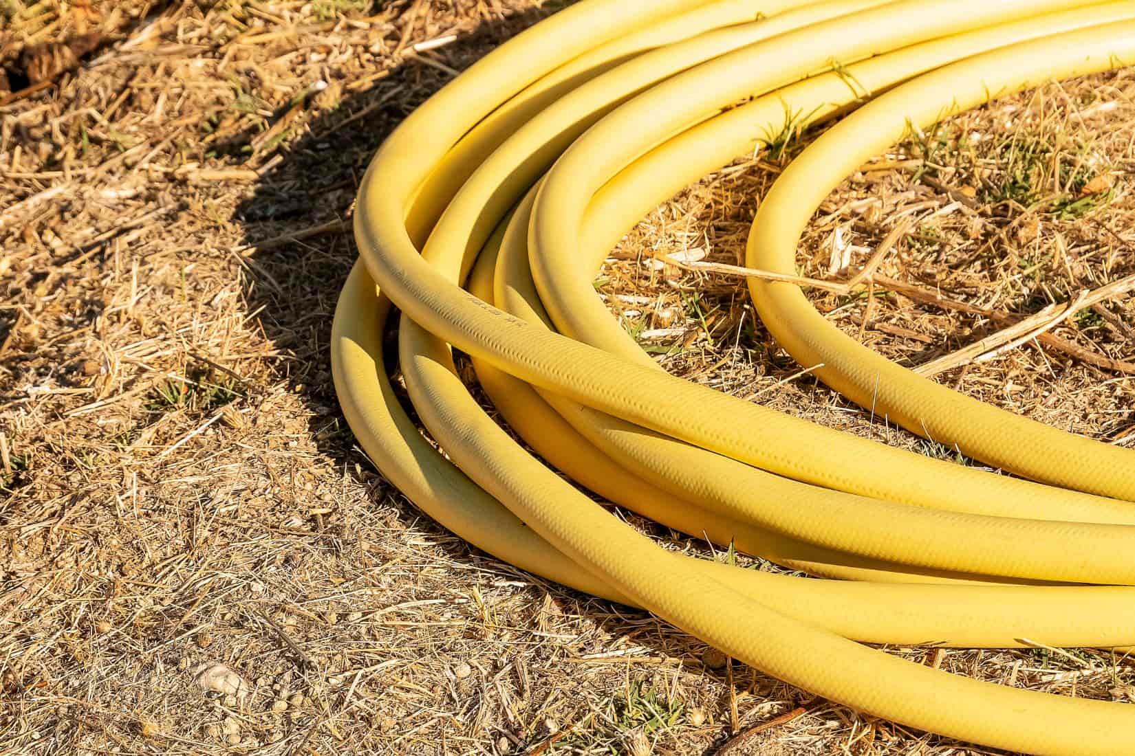hosepipe on parched brown grass
