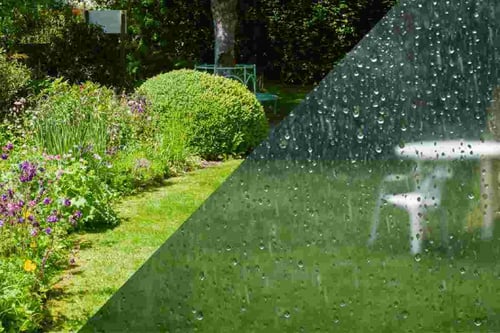 Split picture with half the image of a garden on a sunny day and half the image of a garden on a rainy day