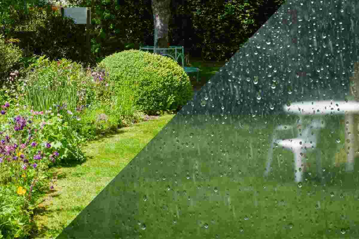 Split picture with half the image of a garden on a sunny day and half the image of a garden on a rainy day
