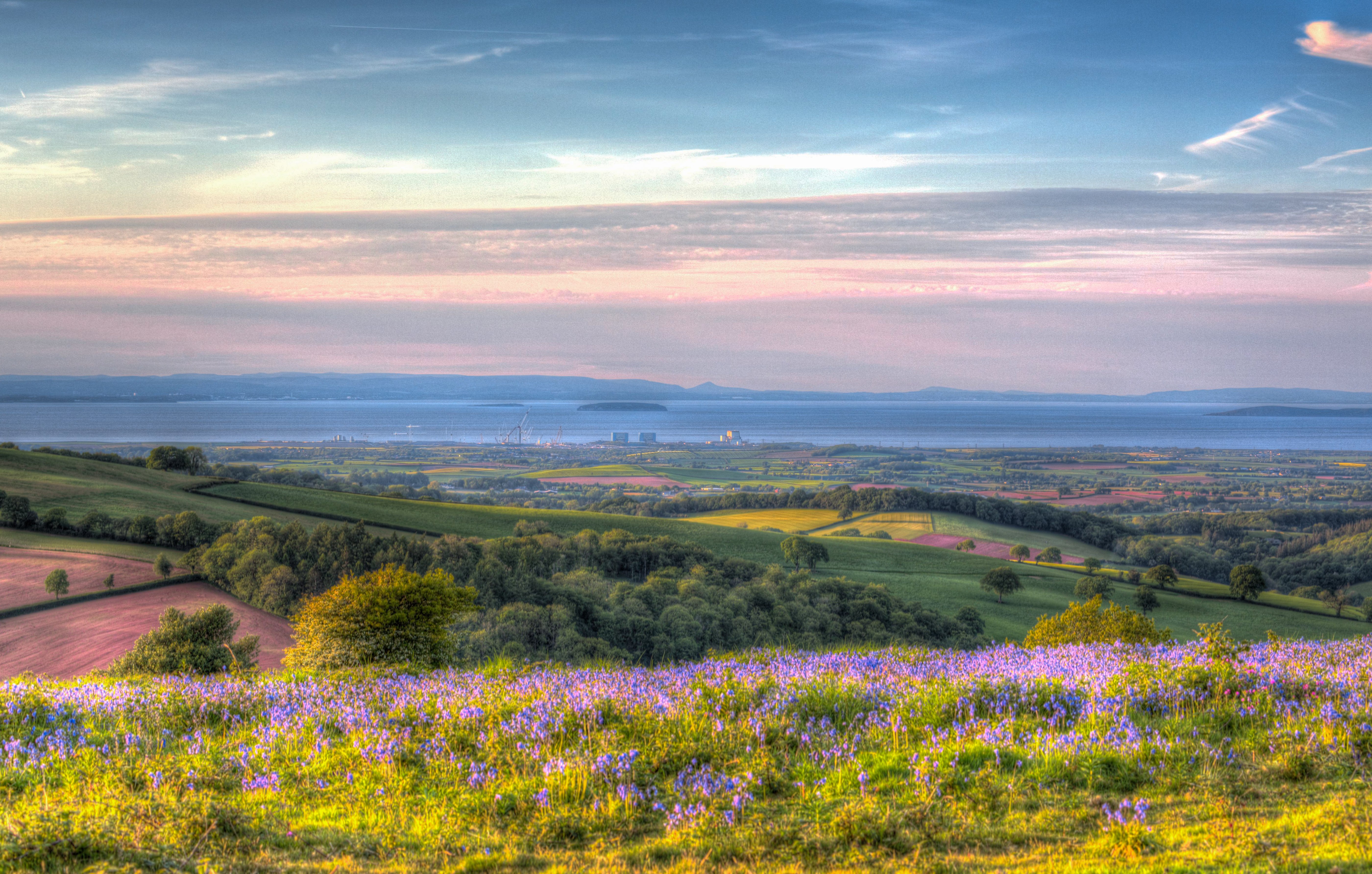 shutterstock_1406141471