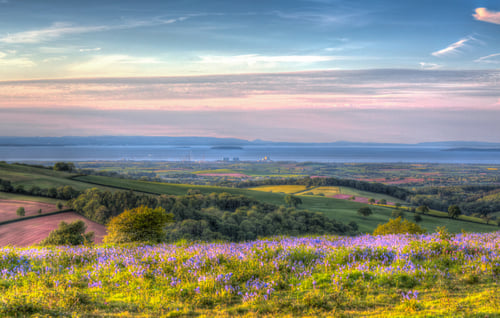 landscape