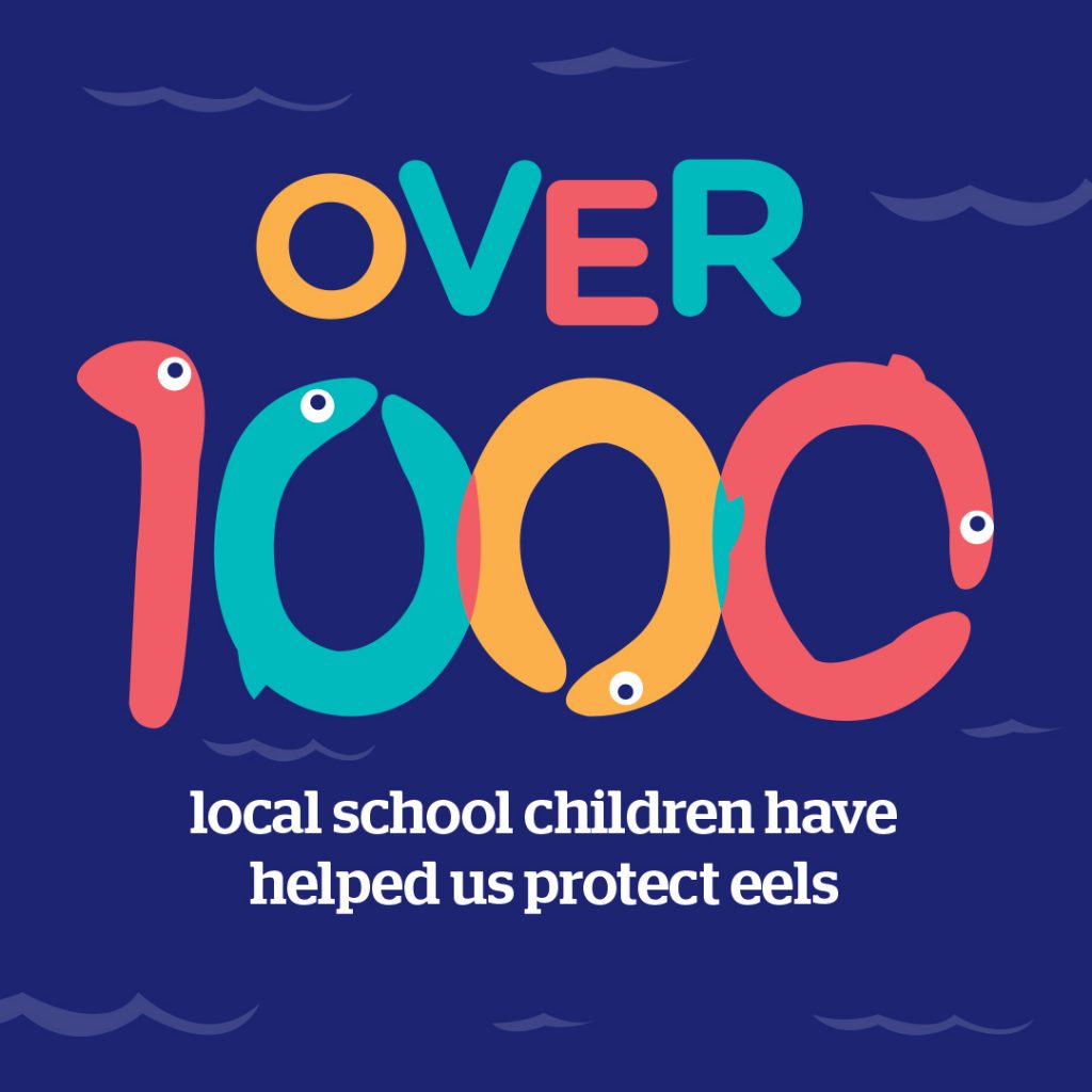 A picture of cartoon eels spelling out the words 'over 1000 local school children have helped us protect eels
