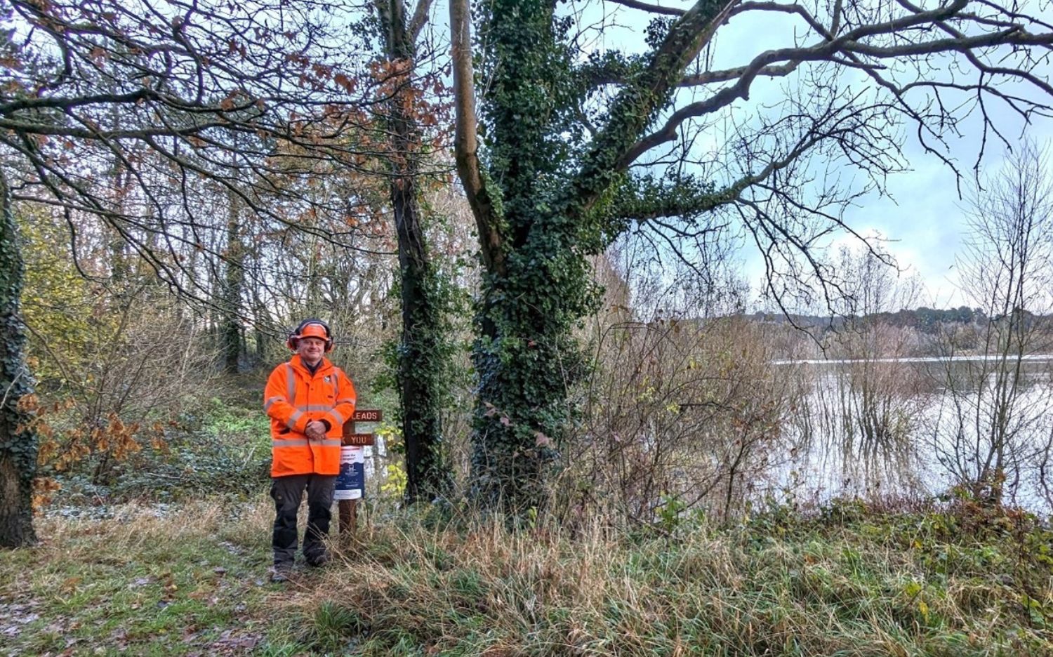 Fighting back against fungal tree disease to enhance woodland wildlife