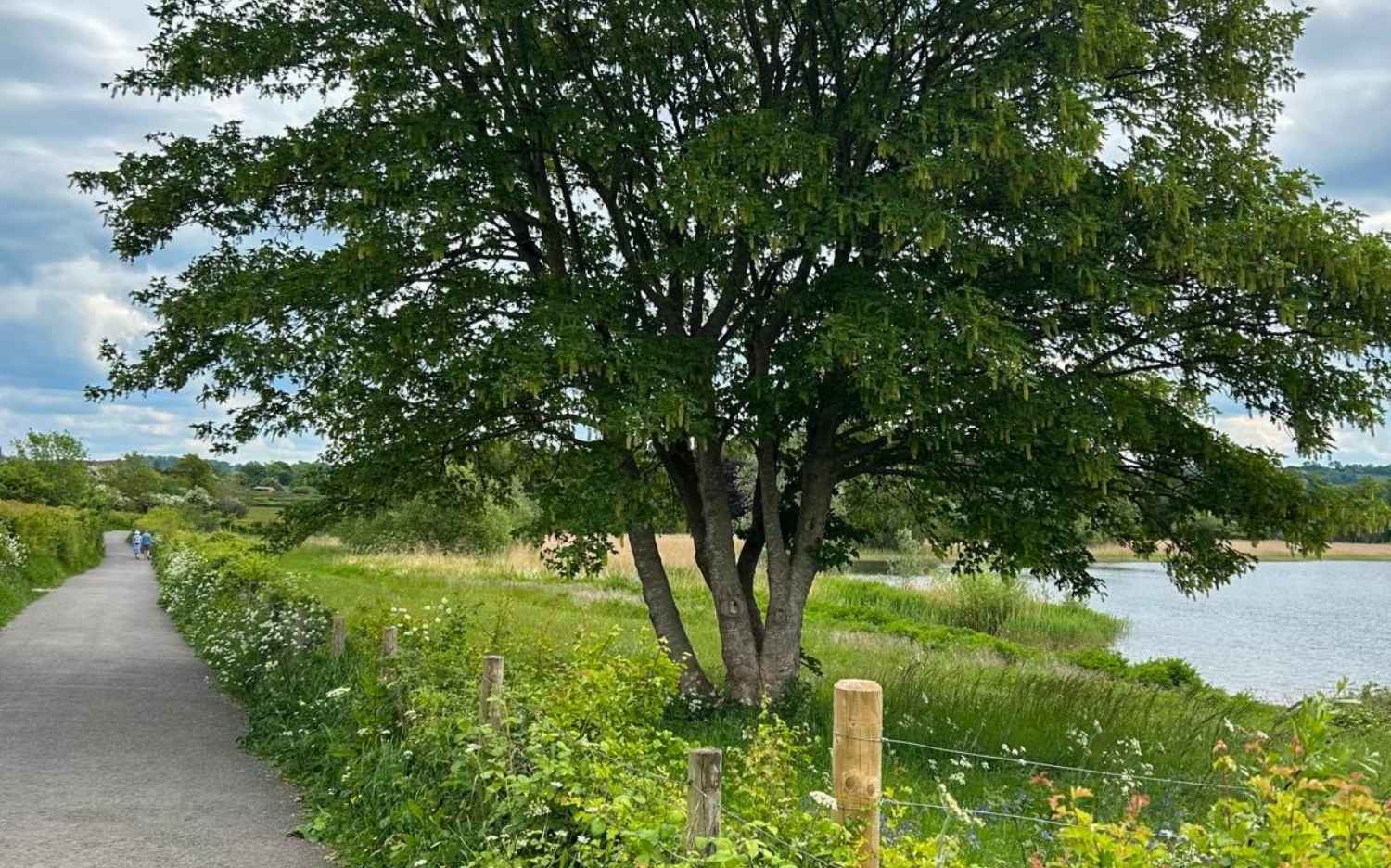 Bristol Water shares guide to family-friendly nature trails at Chew Valley Lake this half term