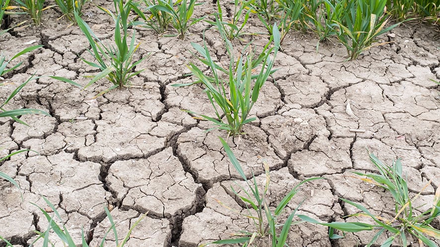How long does it take for rain to refill water resources?