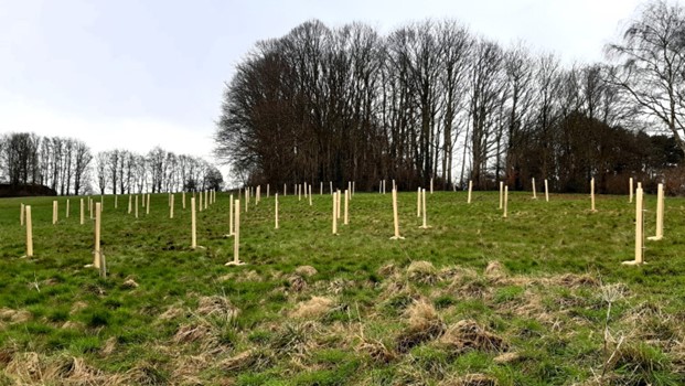 Hundreds of new trees planted to boost local wildlife