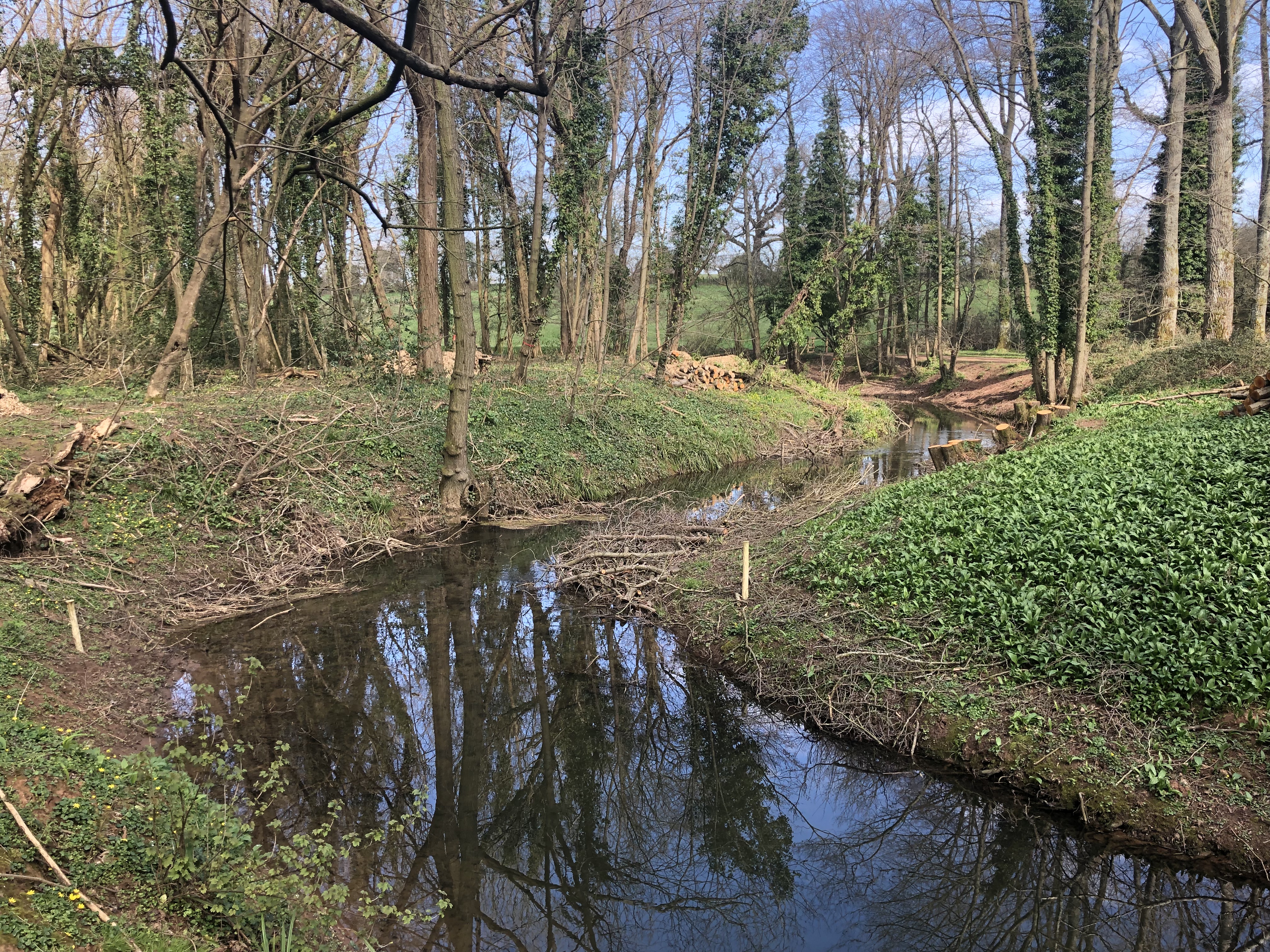 Lost section of the River Chew restored for endangered wildlife