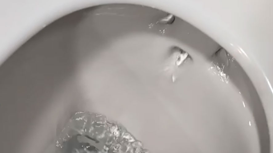 Bristol Water encourages households to check for hidden toilet leaks