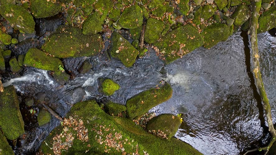 World Rivers Day: How using water wisely can protect water resources and build resilience to climate change