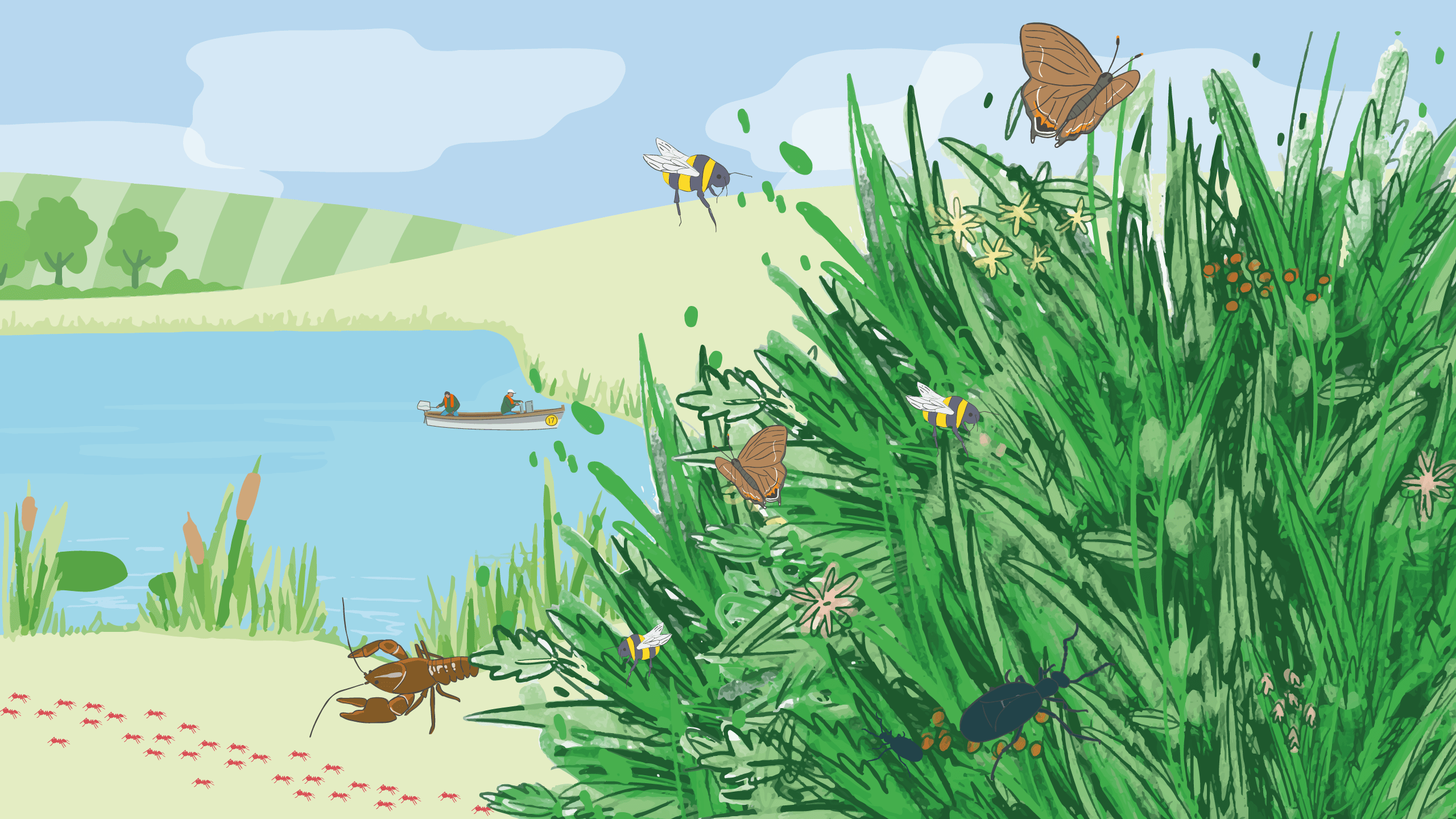 Landscape