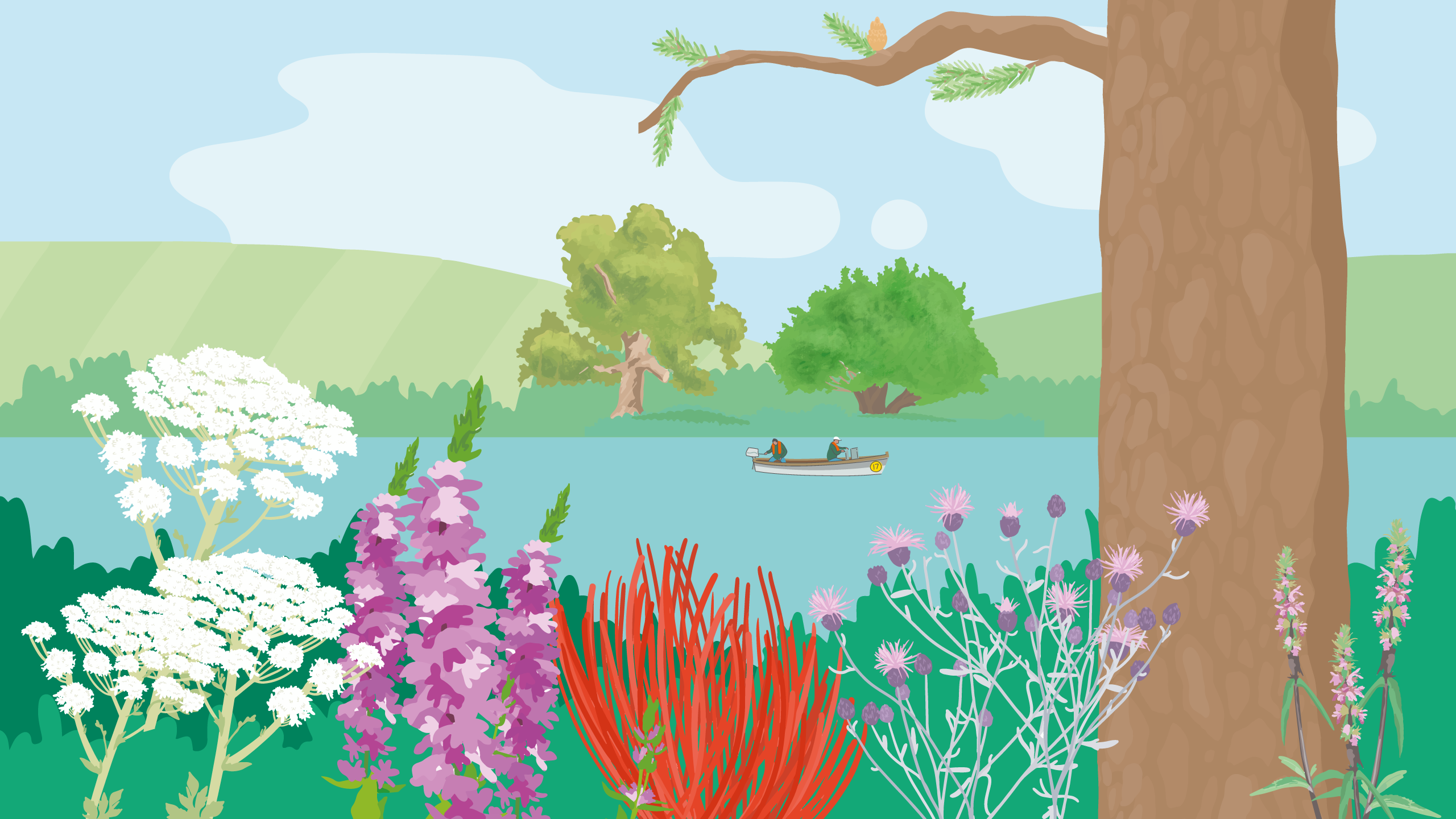 Landscape