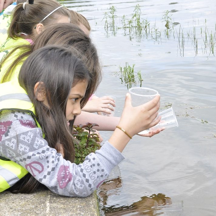 A little girl in a high vis jacket leaning over a pond with a clear plastic cup, looking at tadpoles