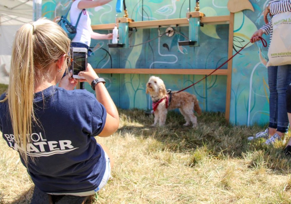 A Bristol Water worker taking a picture of a white dog at the water bar at Dogfest festival