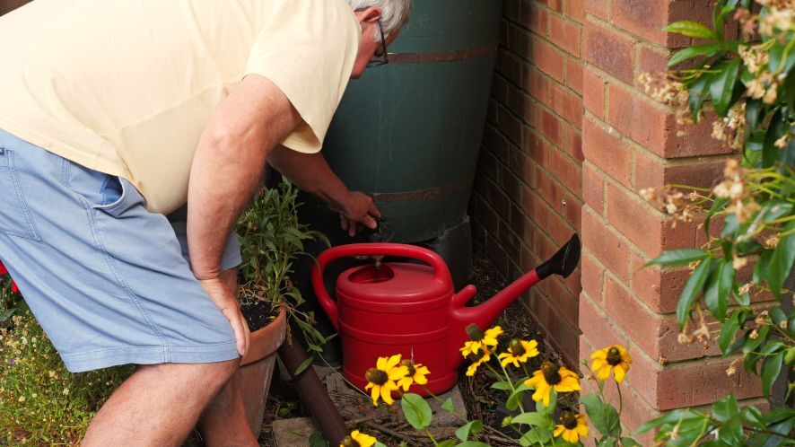 Why not get a water butt for your garden?