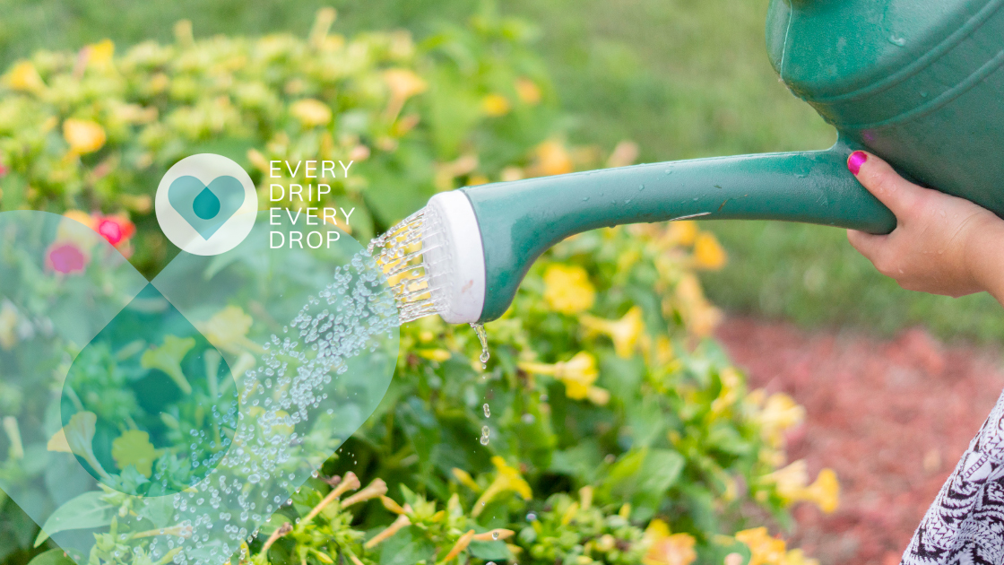 How to save water in the garden