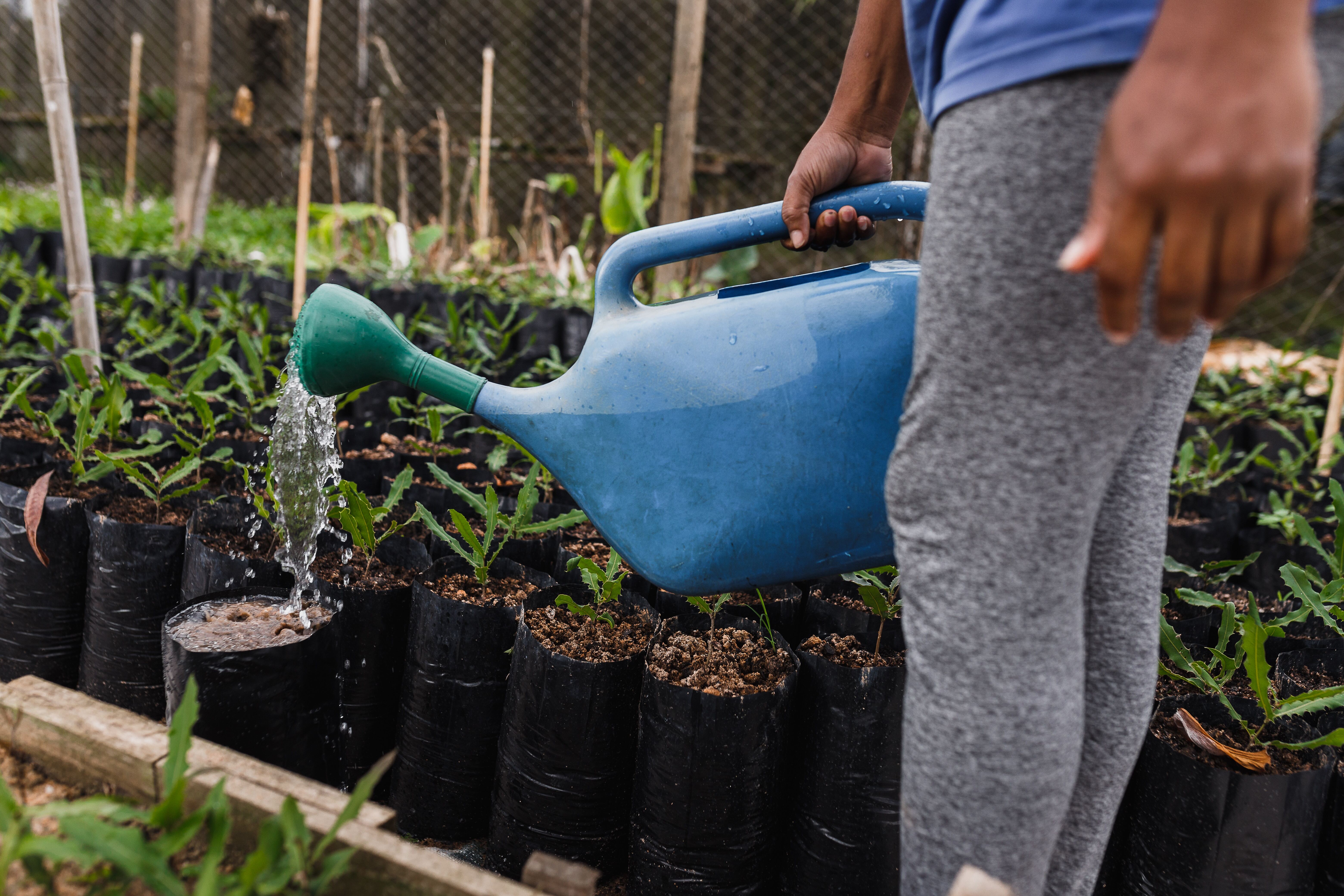 Get your garden summer-ready!