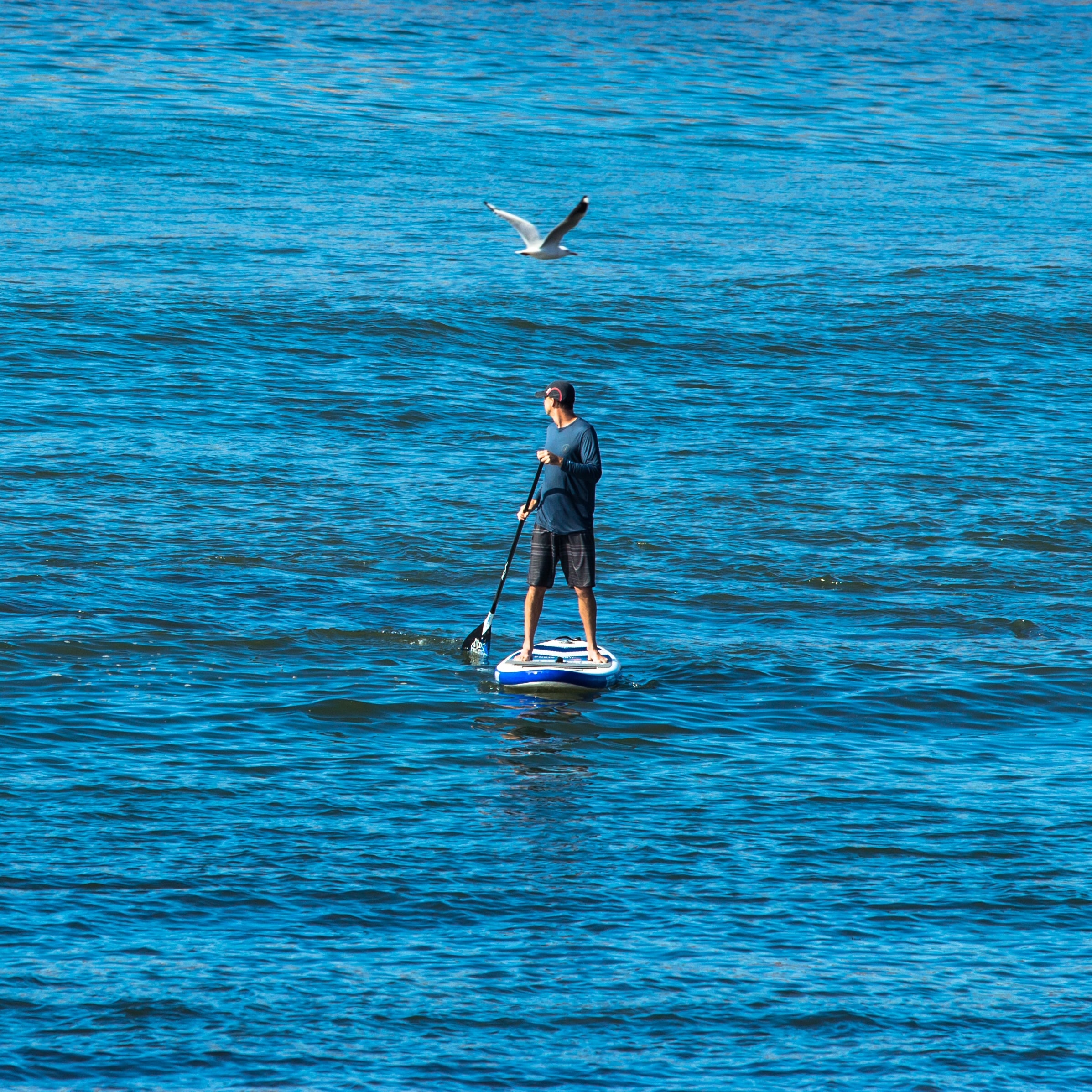 a man paddle boarding at Cheddar Reservoir